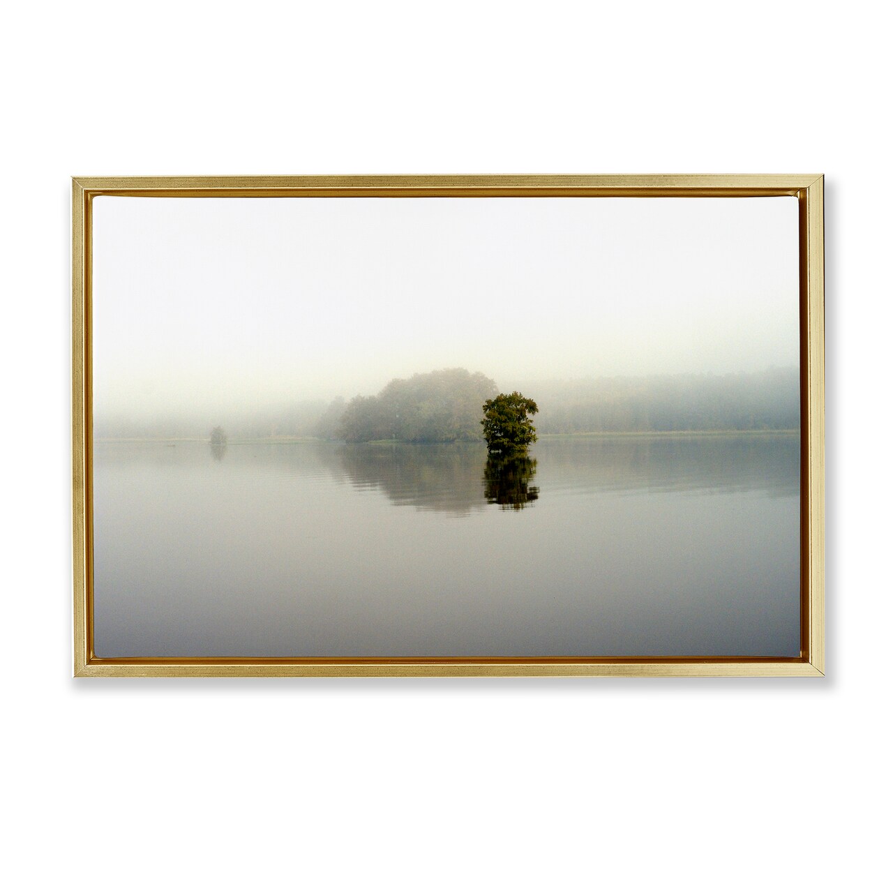 Stupell Industries Misty Lake Reflection Floating Frame, design by Gail Peck